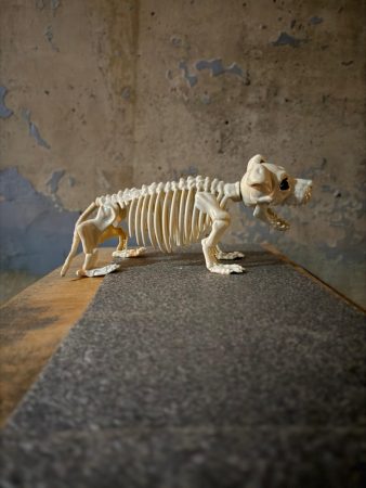 Halloween-tunneli - OutoValo 2025